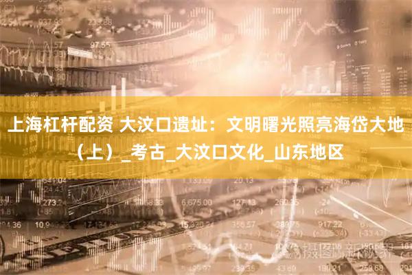 上海杠杆配资 大汶口遗址：文明曙光照亮海岱大地（上）_考古_大汶口文化_山东地区