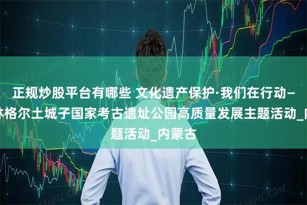 正规炒股平台有哪些 文化遗产保护·我们在行动—— 和林格尔土城子国家考古遗址公园高质量发展主题活动_内蒙古
